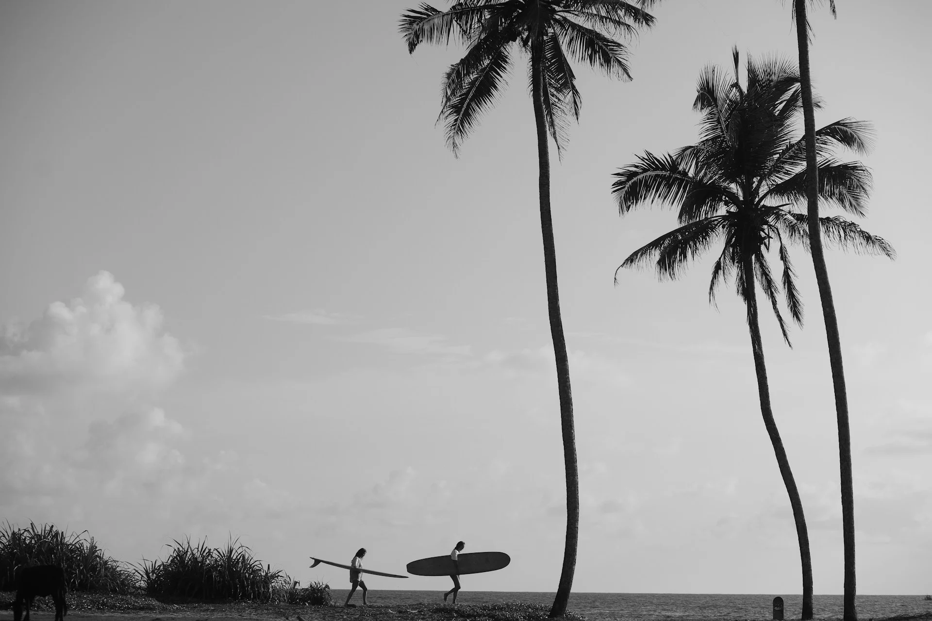 From Zero to Iconic: XX Design Crafts a Standout Identity for Emerging Tea Brand