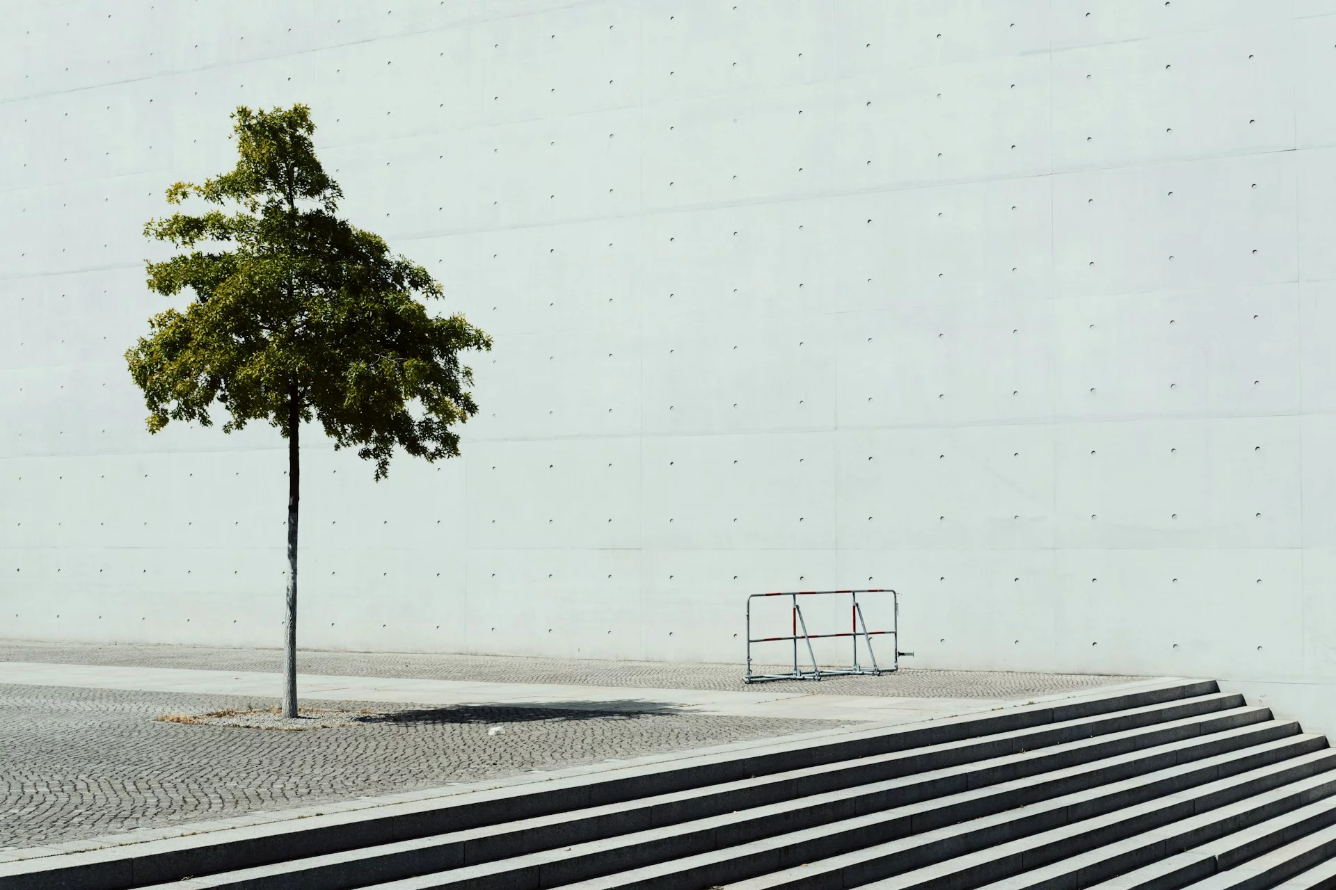 Design for Good: XX Design Partners with [Foundation] to Preserve Endangered Heritage Through Branding